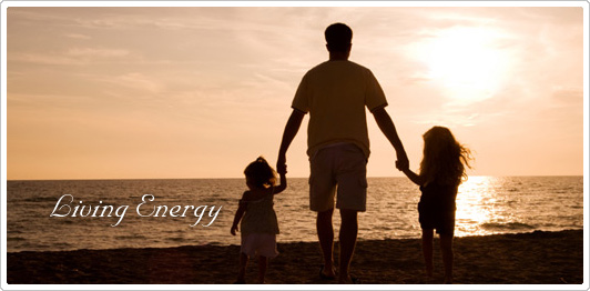 Living Energy Living Energy